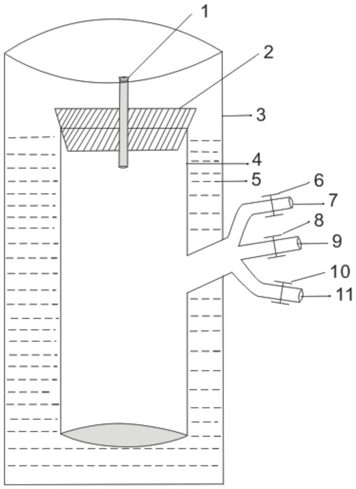 Concentration and enrichment device and concentration and enrichment method for rare gas in soil gas and application of concentration and enrichment device and concentration and enrichment method