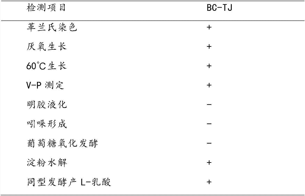 Bacillus coagulans and its use in preparation of L-lactic acid