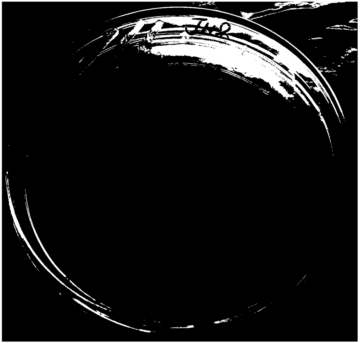 Degrading bacteria JN2 for petroleum hydrocarbons in oily sludge and its application