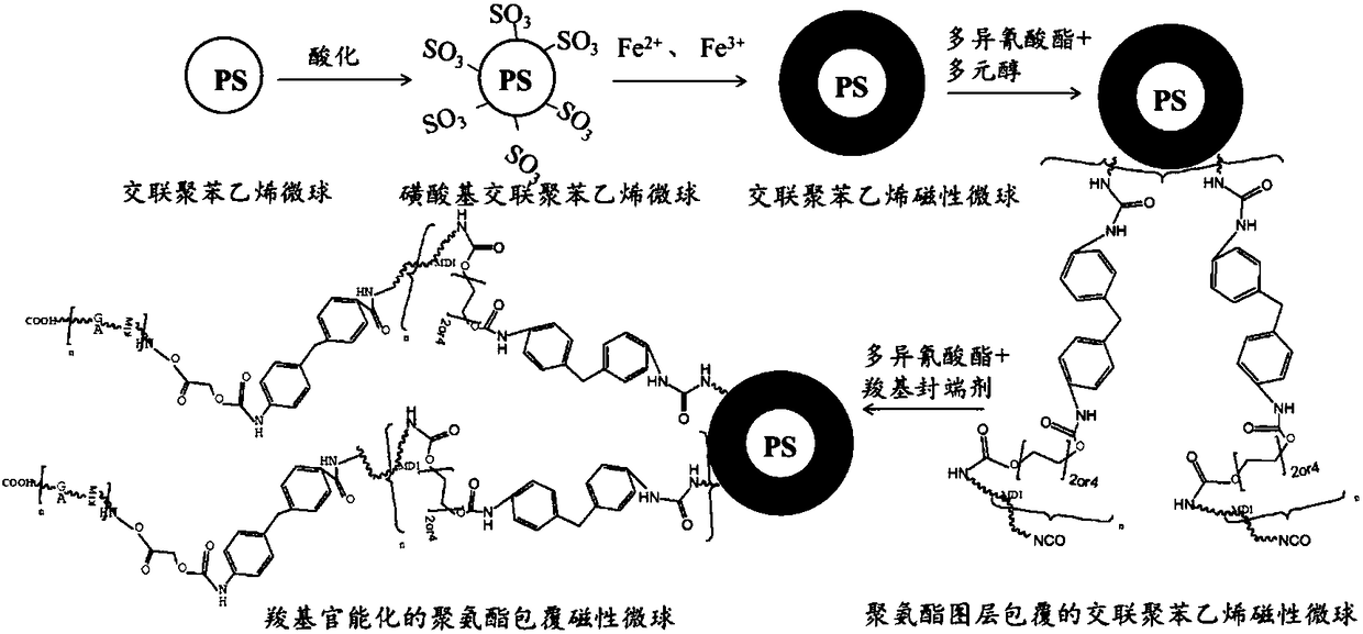 Carboxyl functionalized polyurethane coated magnetic microsphere and preparation method thereof