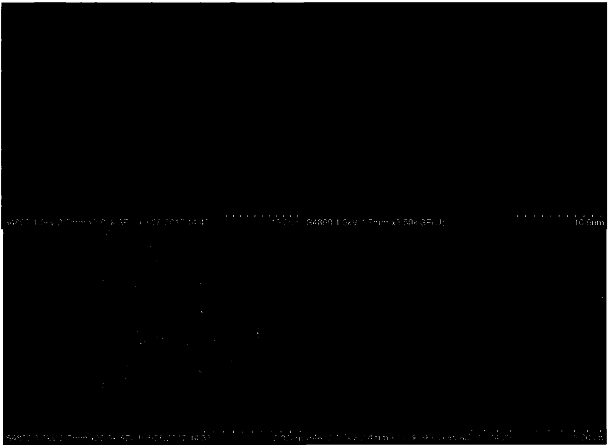 Carboxyl functionalized polyurethane coated magnetic microsphere and preparation method thereof