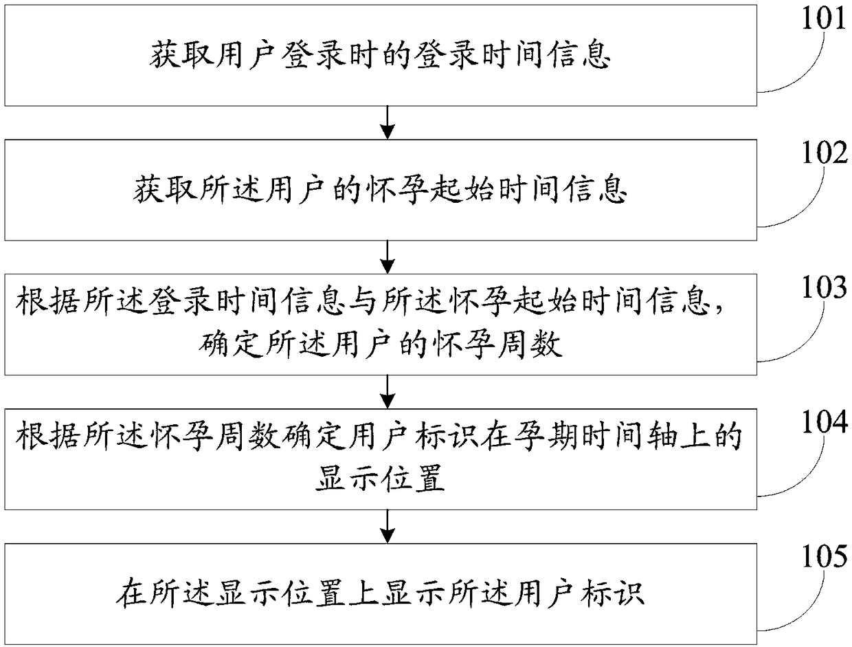 Display method and system for user identification on pregnancy time axis