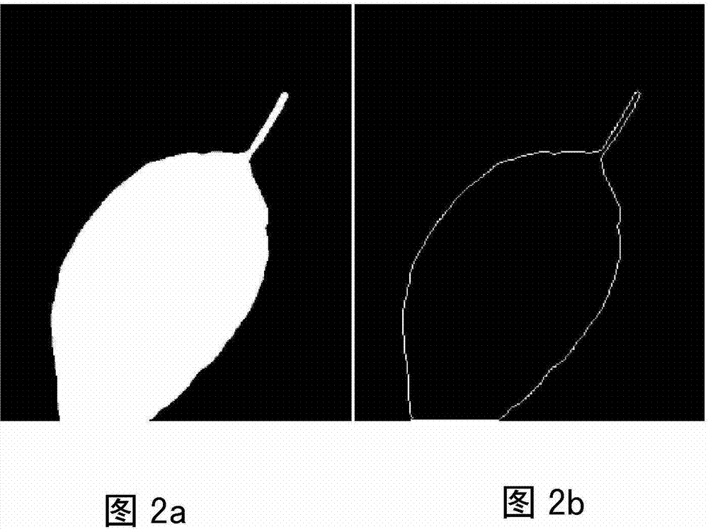 Expansion target stable trace point extraction method