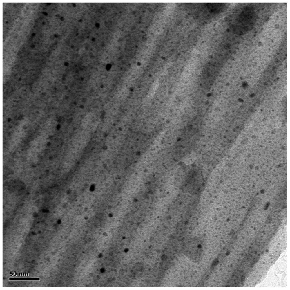 Nickel-based pure silicon type molecular sieve catalyst as well as preparation method and application thereof