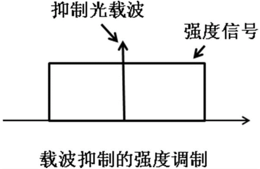 Digital carrier regeneration system and method based on coherent detection and digital signal processing