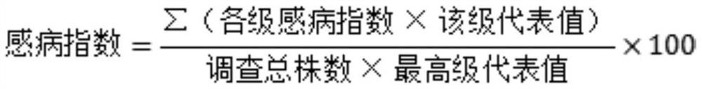 A kind of biological agent for preventing and treating cotinus fusarium wilt and its preparation and application method