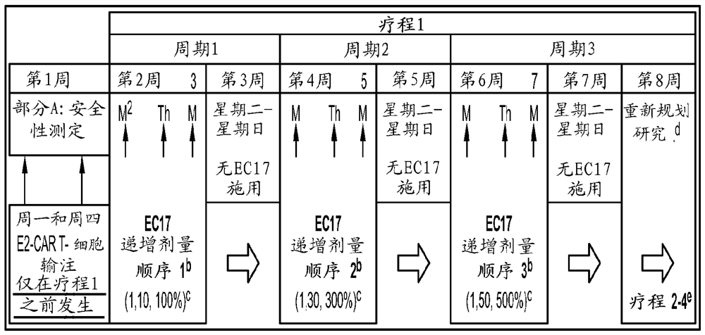 Sequencing method for car t cell therapy