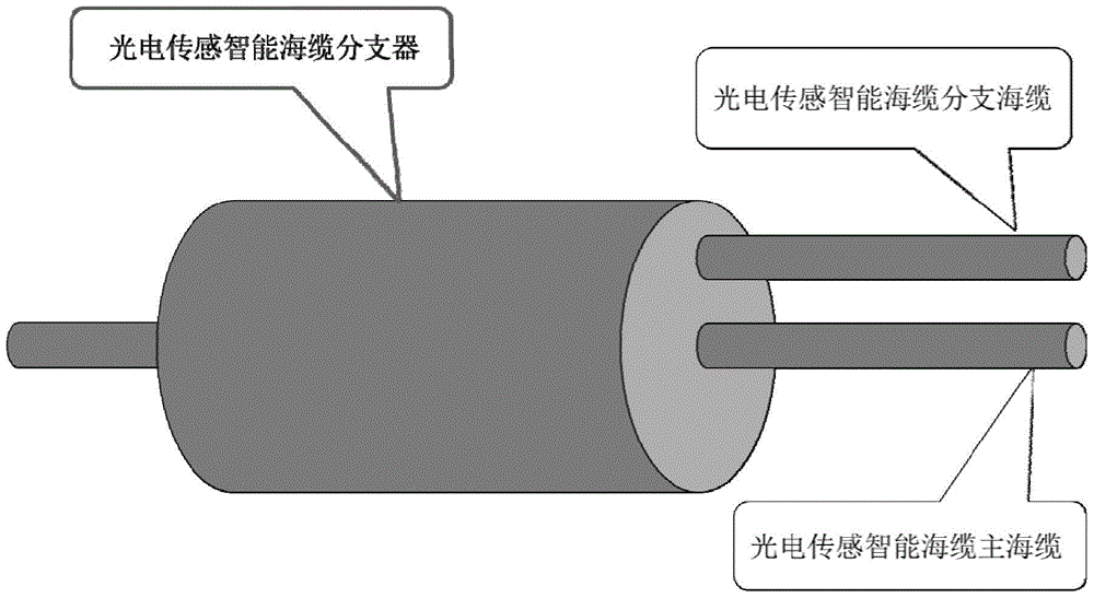 A photoelectric sensor smart submarine cable