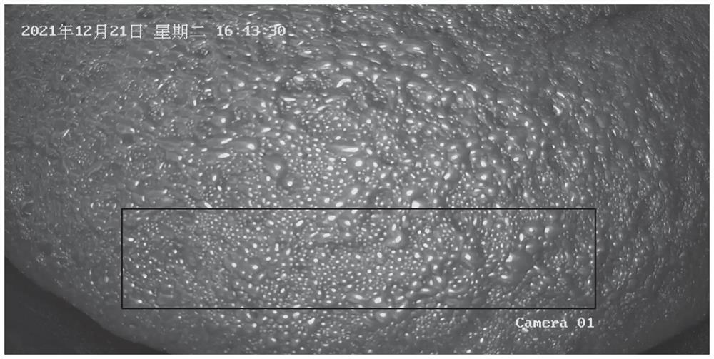 Embedded system-oriented flotation froth flow velocity extraction method