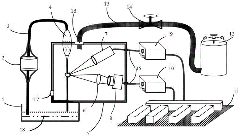 Device and method for measuring chlorine elements in water in real time