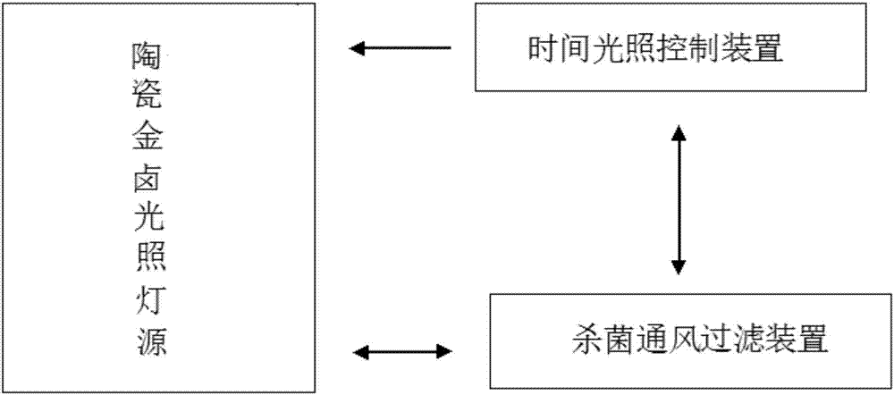 Ceramic metal halide lamp lighting system and method for indoor pig raising