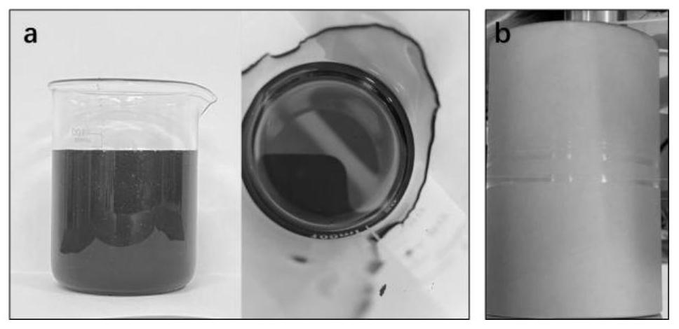 Method for preparing green regenerated cellulose fiber by taking vinasse as raw material