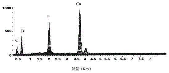 Preparation method of bone bioremediation preparation with induced gene expression