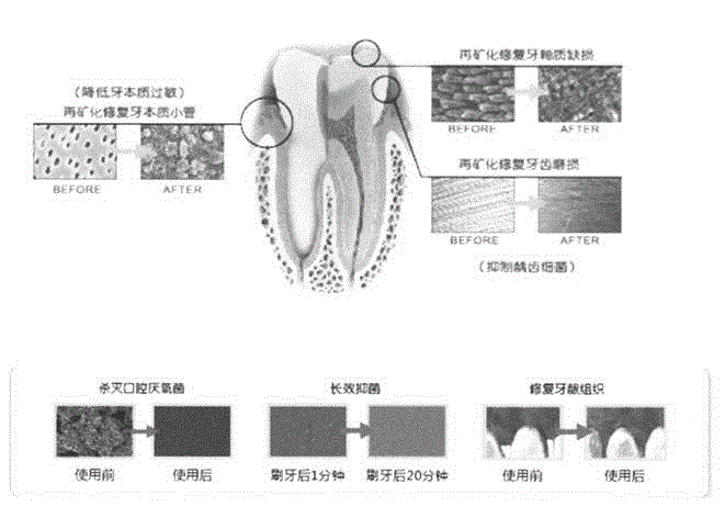 Preparation method of bone bioremediation preparation with induced gene expression