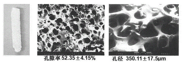 Preparation method of bone bioremediation preparation with induced gene expression