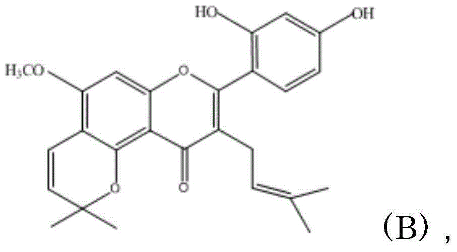 Prodrug of flavonoids and application of prodrug