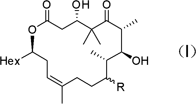 Epothilone analogue, preparation method as well as medicine composition and application thereof