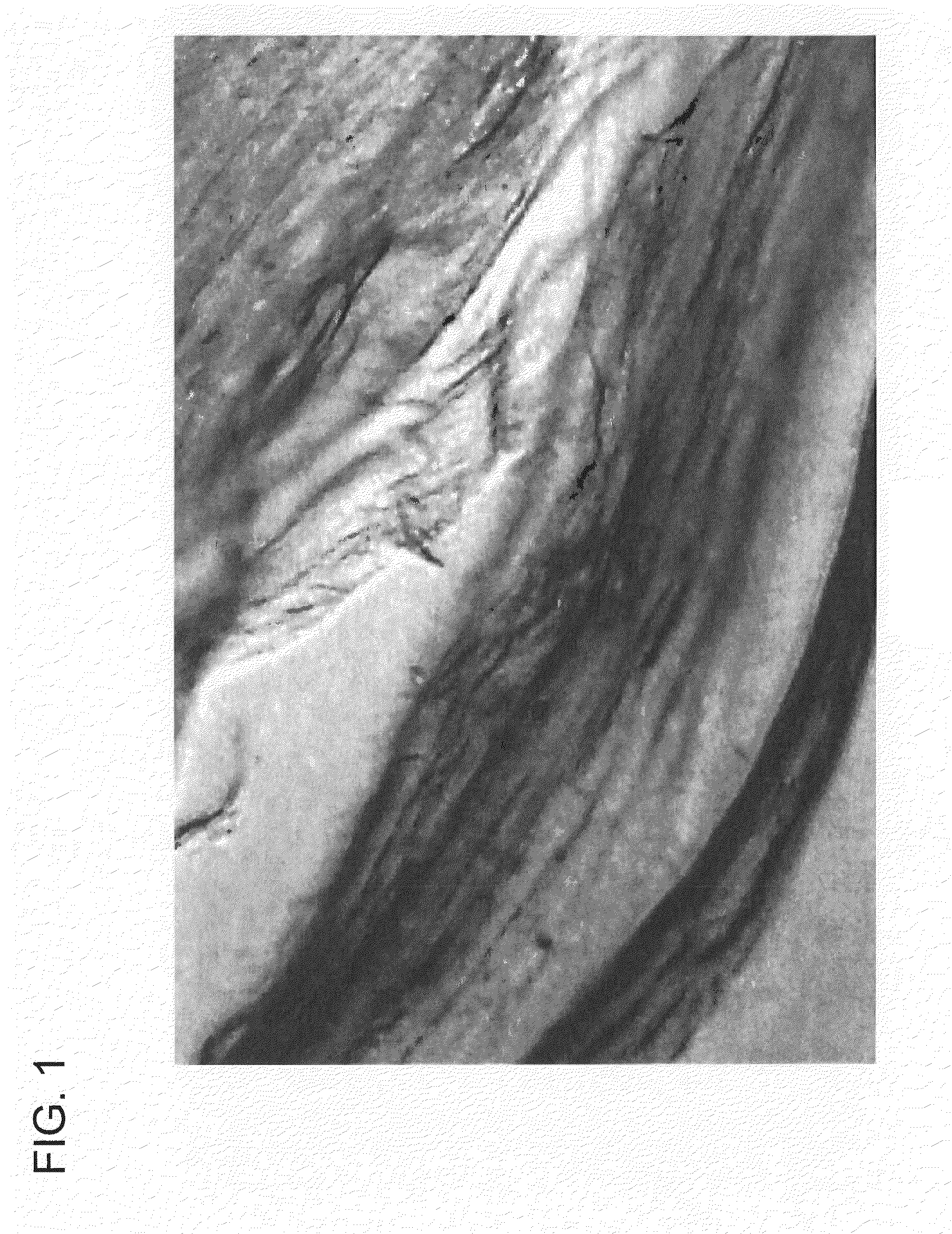 Tofu Hydrated Structured Protein Compositions