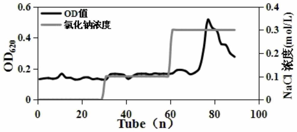 A Chlorella exopolysaccharide with antioxidant activity