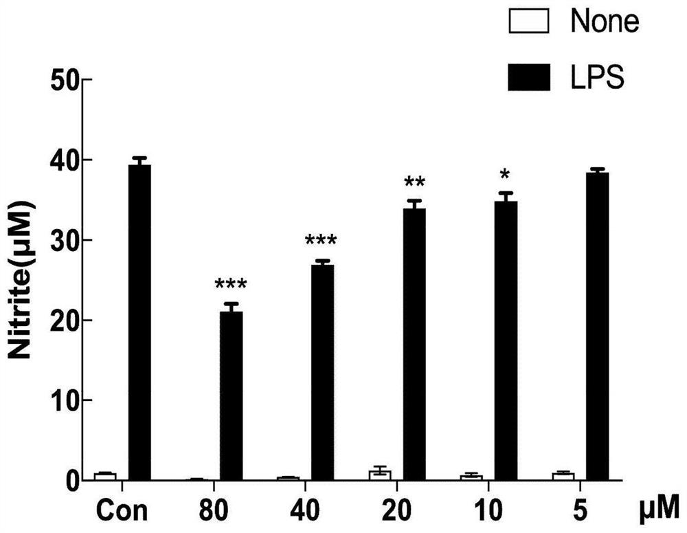 Application of small molecule compound in preparation of medicine for resisting central nervous system inflammation