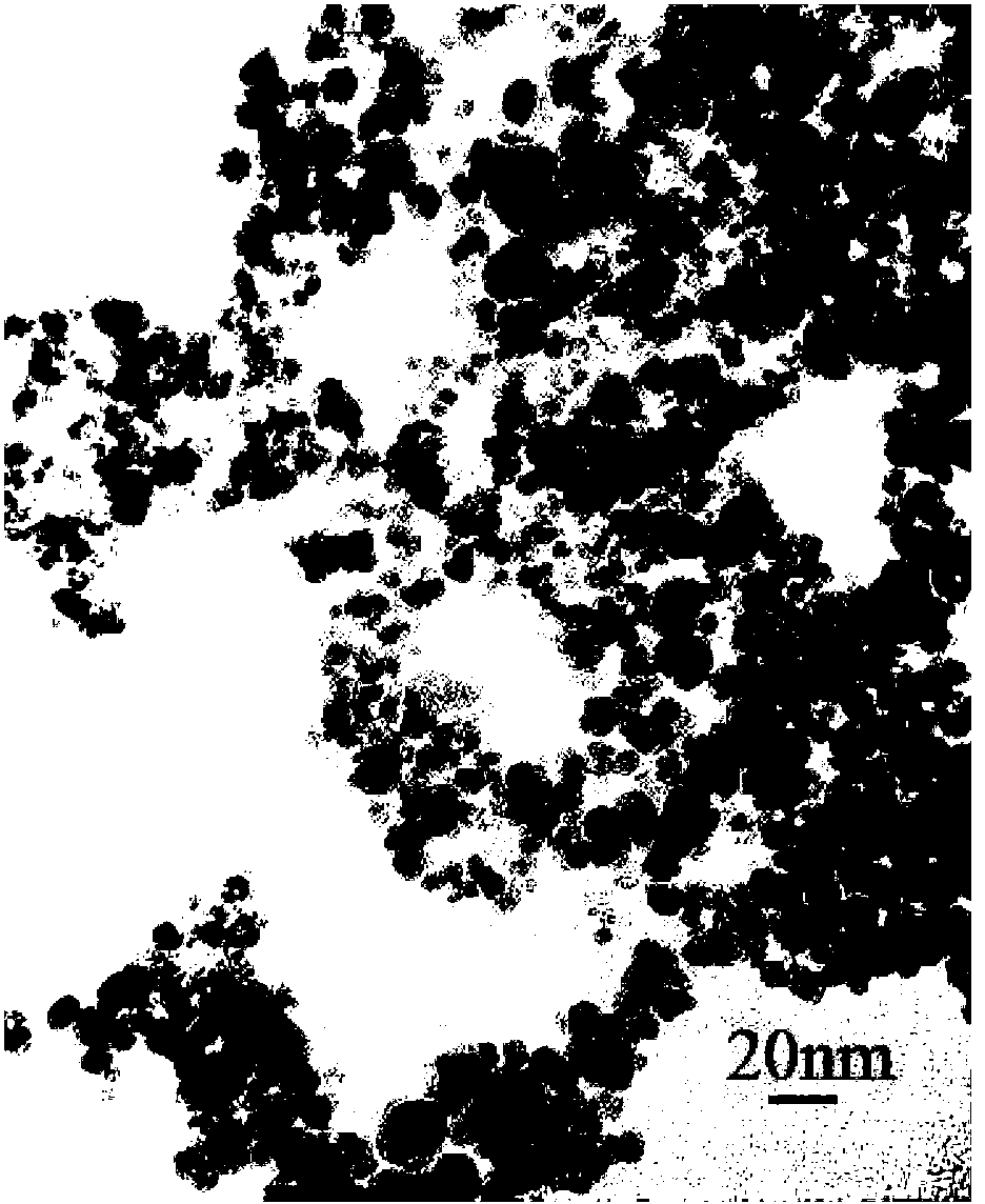 Method for simply regulating ferroferric oxide nanoparticle morphology