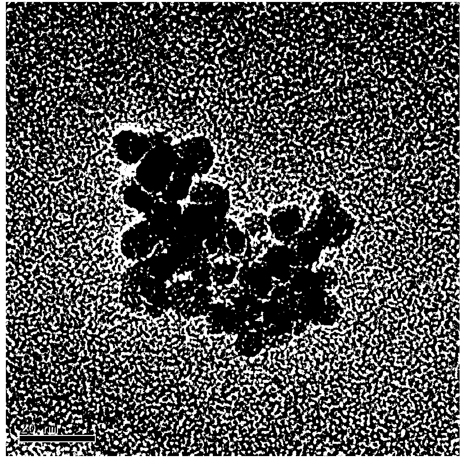 Method for simply regulating ferroferric oxide nanoparticle morphology