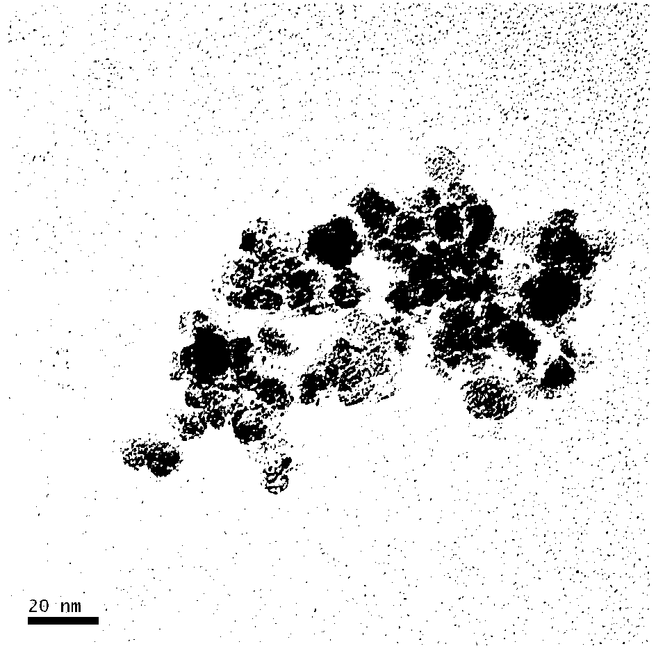 Method for simply regulating ferroferric oxide nanoparticle morphology