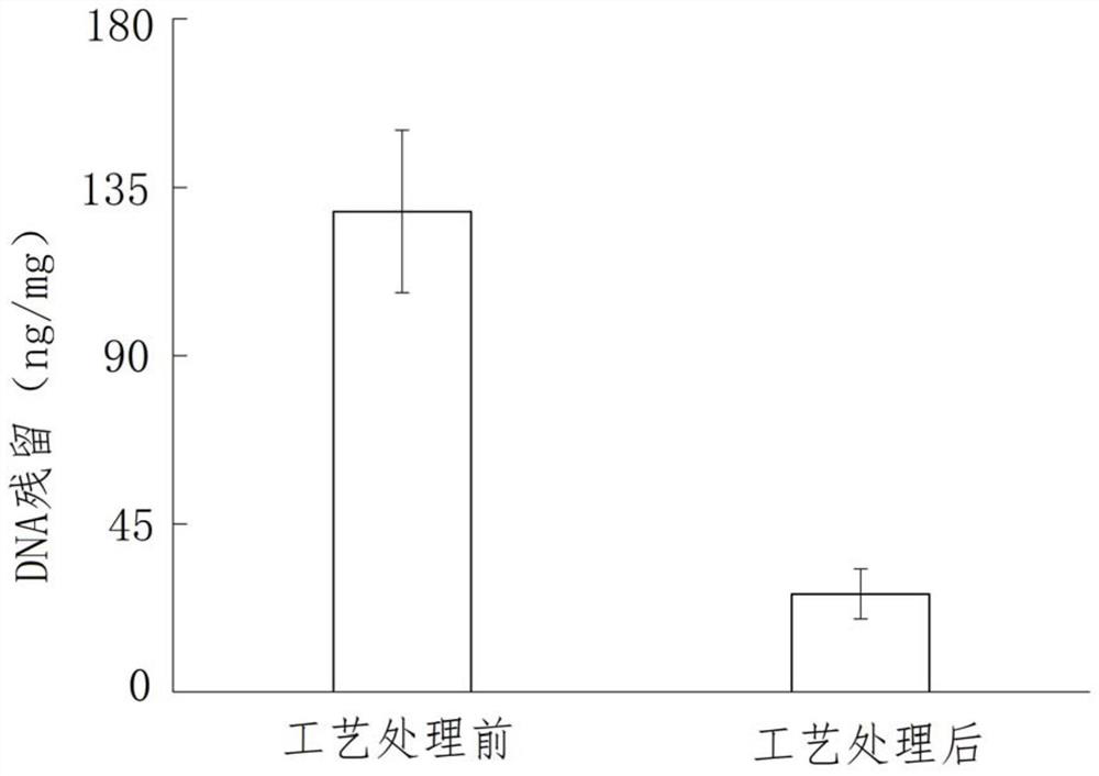 Preparation method of allogeneic or xenogeneic tendon and bone tendon complex