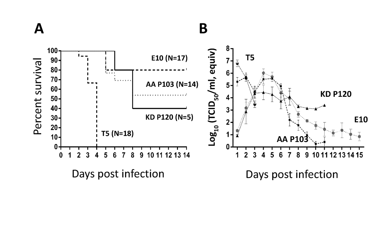 Vaccines for porcine epidemic diarrhea virus infections