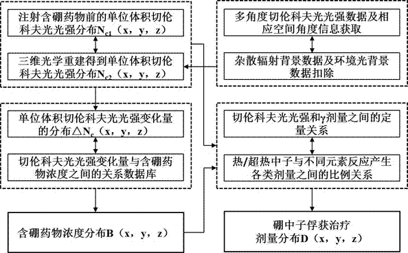 Boron neutron capture therapy dose measuring method