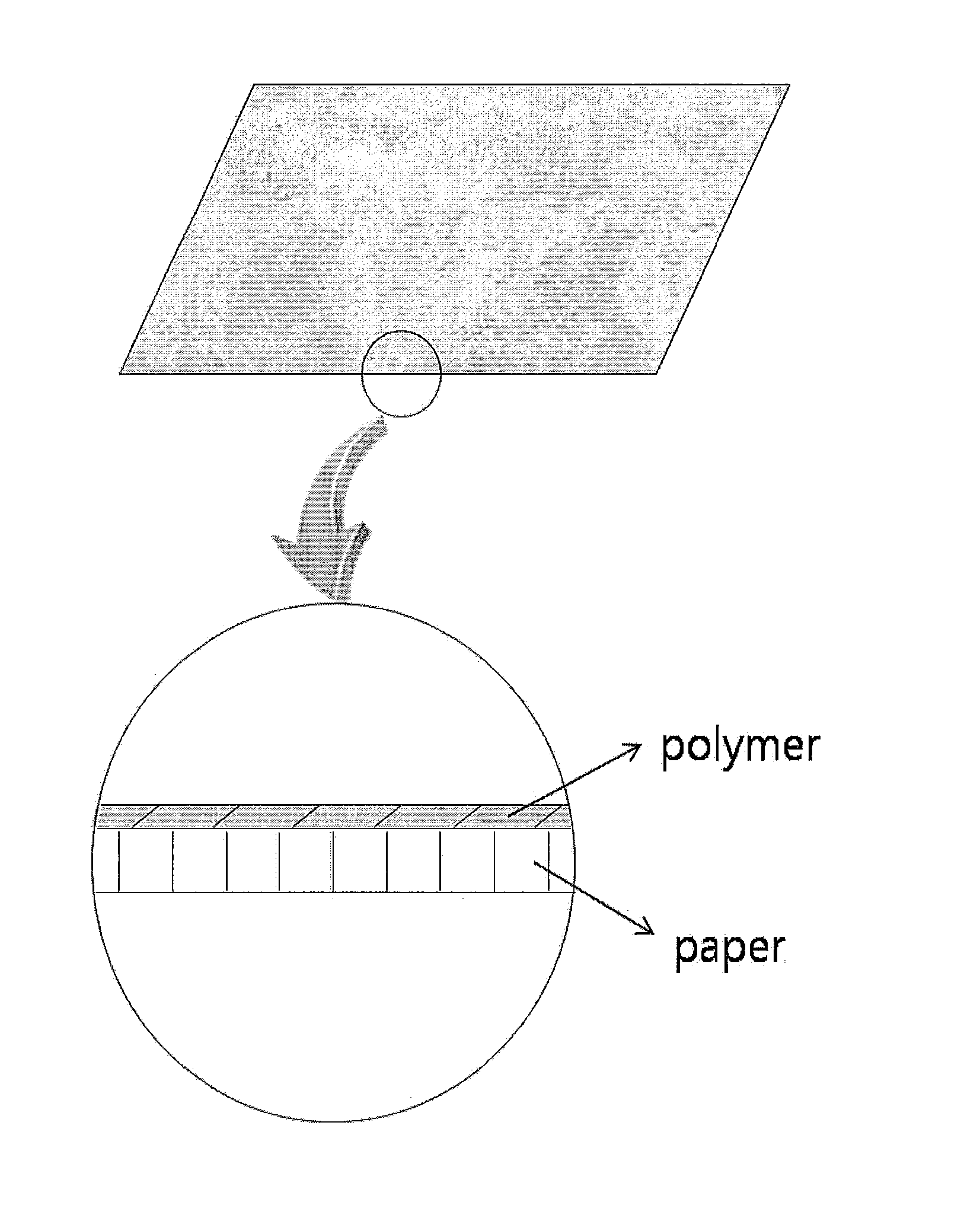 Composition for Paper Coating