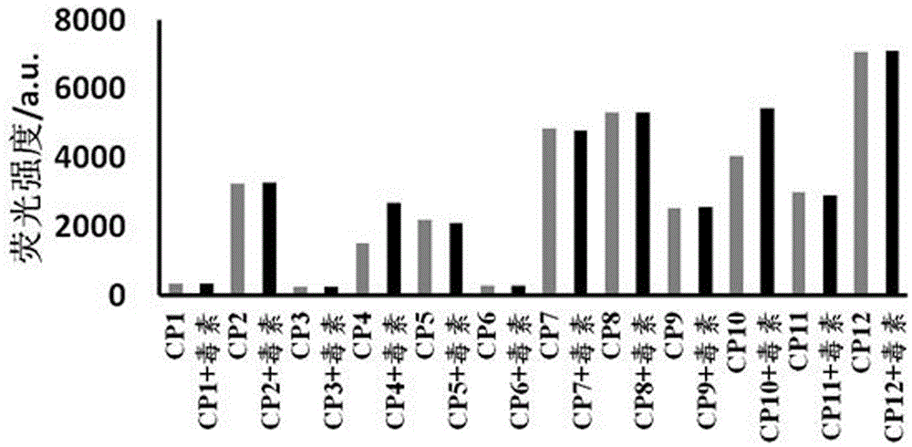 Screening and application of fumonisin B1 aptamer strand displacement probe