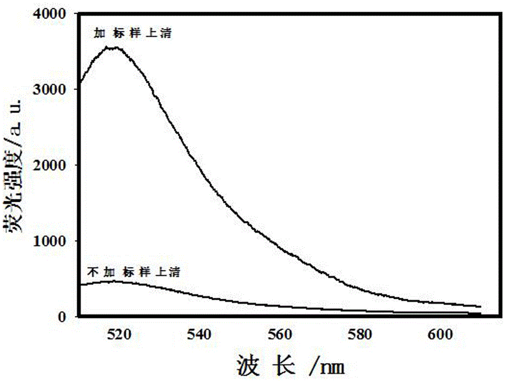 Screening and application of fumonisin B1 aptamer strand displacement probe