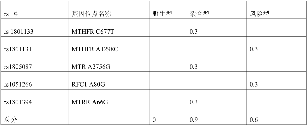 Individual nutrients deficiency risk assessment method based on SNP (Single Nucleotide Polymorphism) site