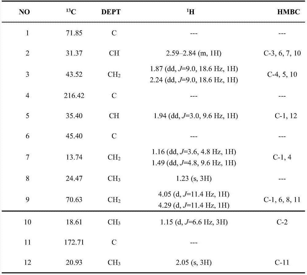 New monoterpene compound and preparation method and application thereof