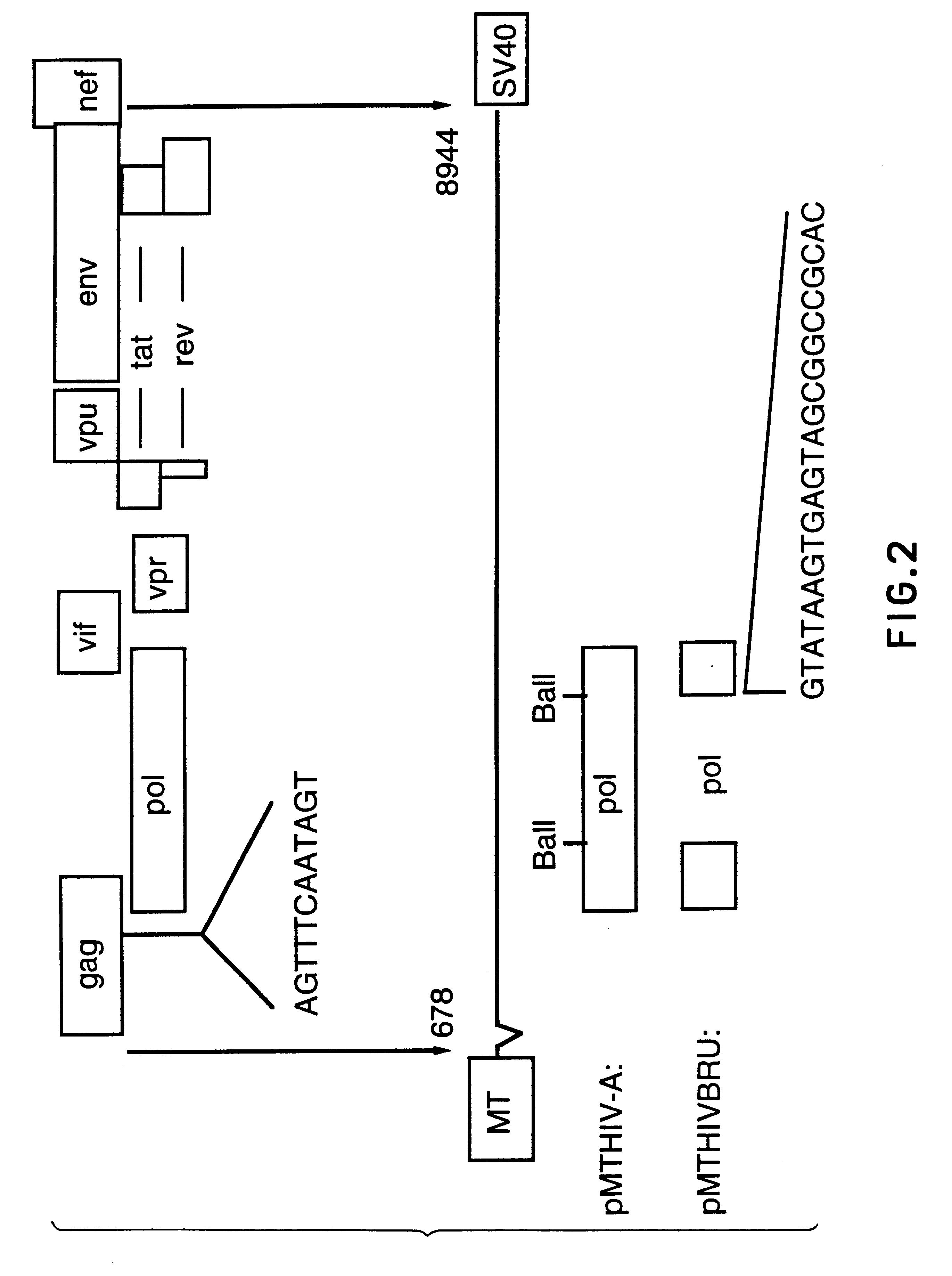 Antigenically-marked non-infectious retrovirus-like particles