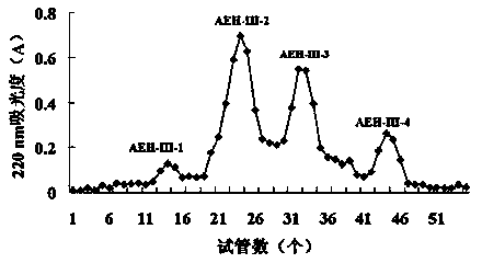 Sepia esculenta protein antioxidant peptide, and preparation method and use thereof