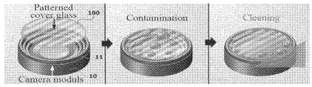 Device and method for cleaning camera lens part