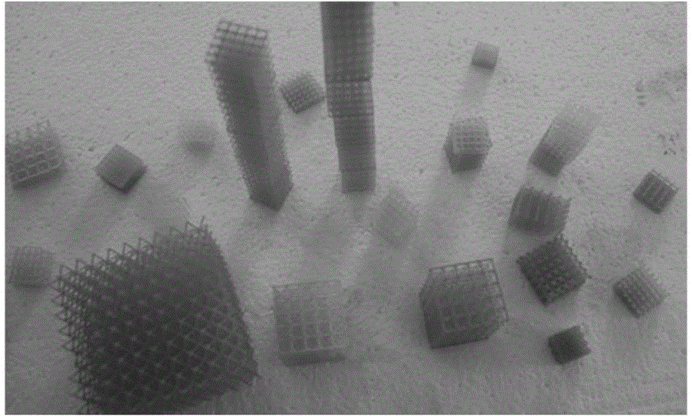 Preparation method of microarray structure on basis of DLP (digital light processing) technology and chemical vapor deposition