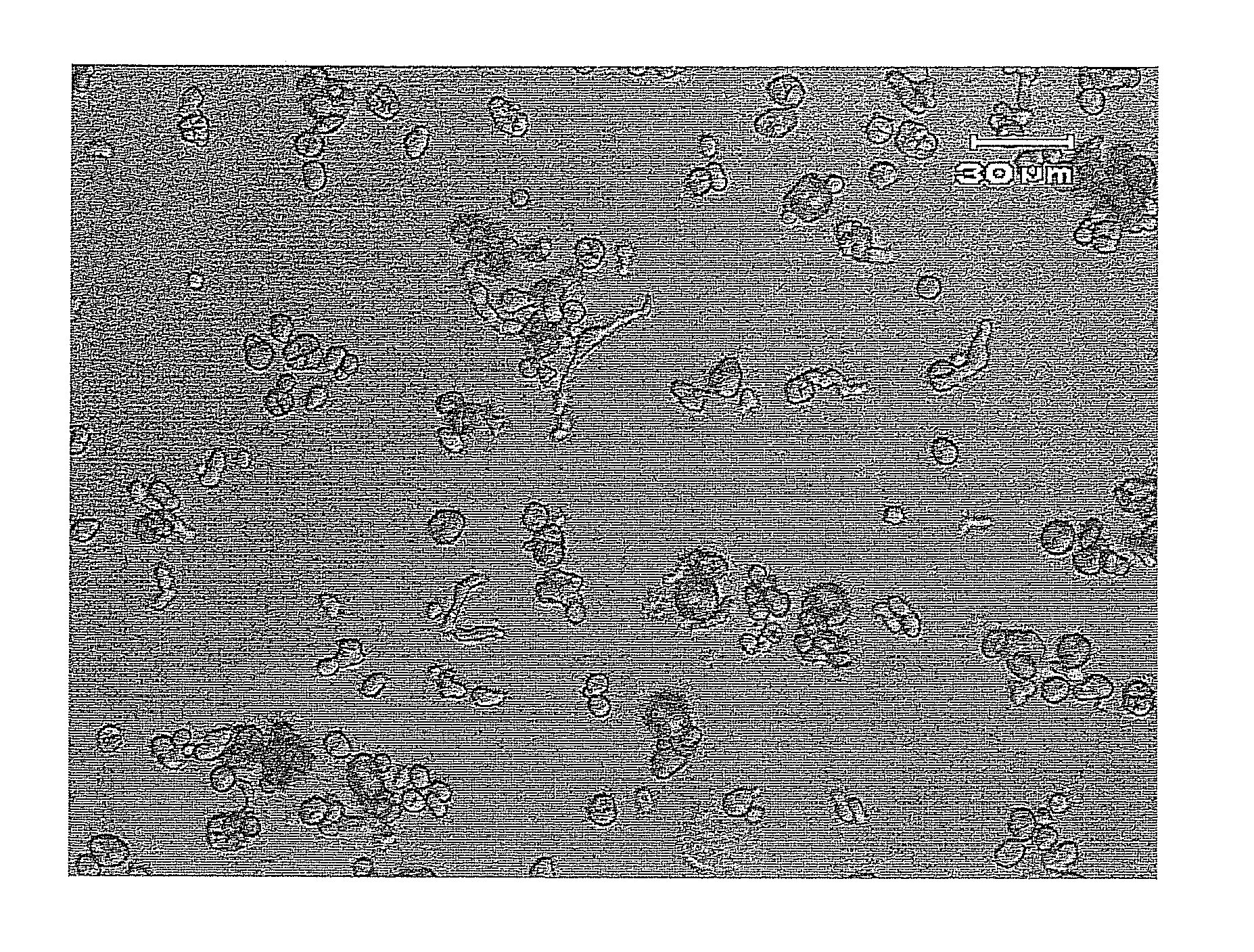 Method of producing starch having high-less digestible starch content