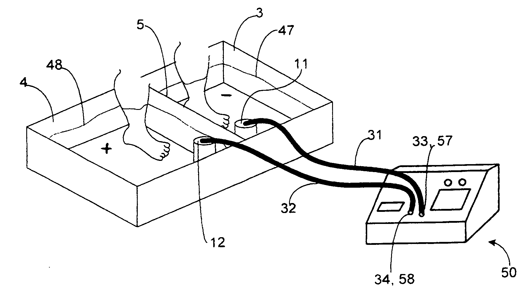 Combination iontophoresis and detoxifying device and methods for use