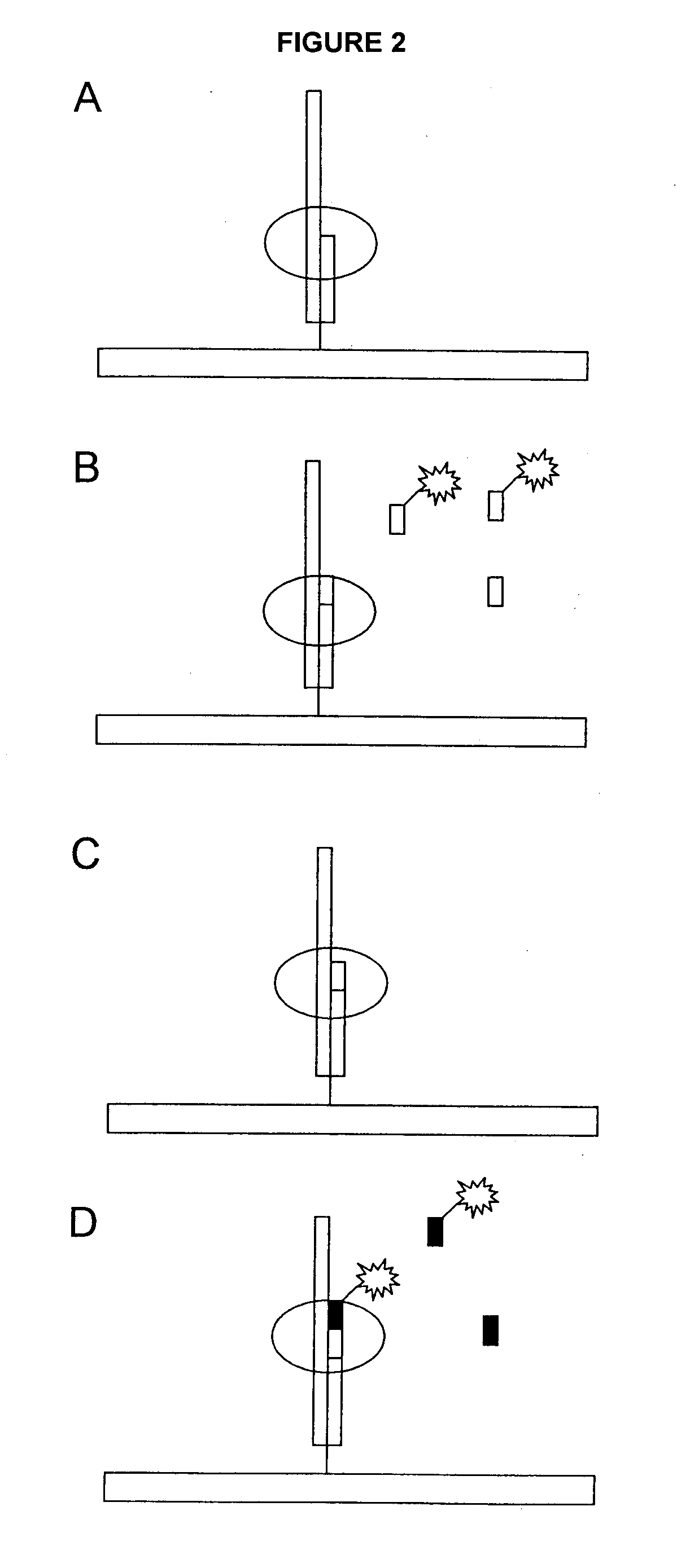 Nucleotide Compositions and Uses Thereof