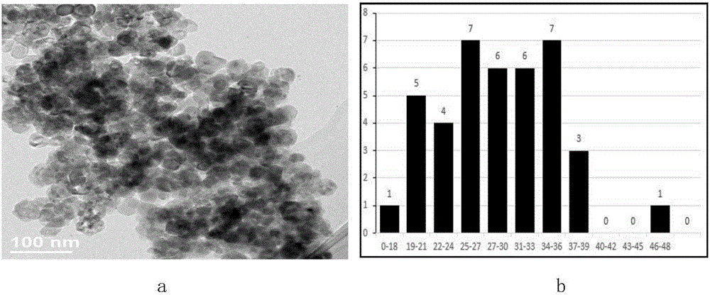 Device for synthesizing nano particles through glow discharge and synthesis method thereof