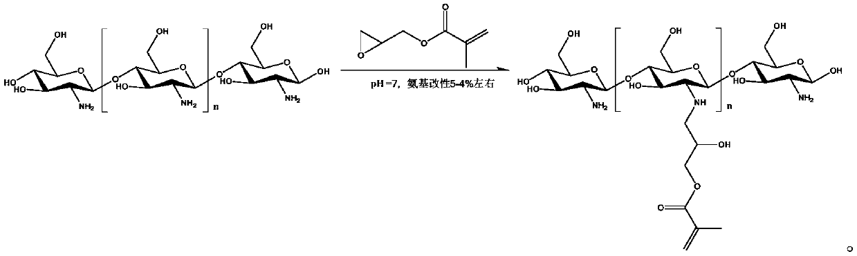 Chitosan hydrogel, preparation method of chitosan hydrogel, antiviral spray and antiviral liquid gloves