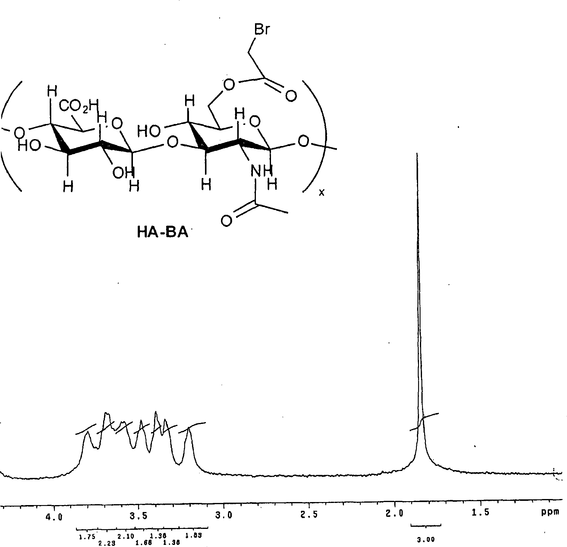 Macromolecules modified with electrophilic groups and methods of making and using thereof