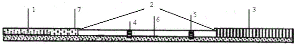 Test strip and method for detecting sodium pentachlorophenate