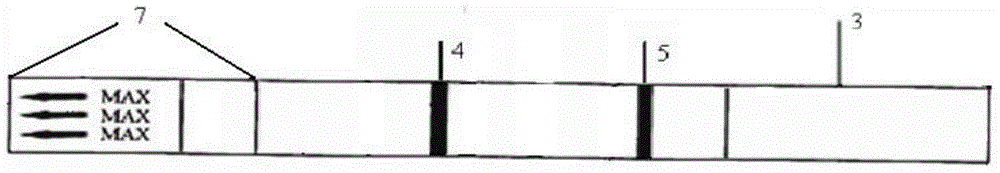 Test strip and method for detecting sodium pentachlorophenate