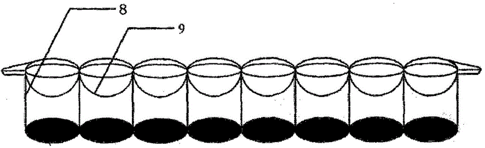 Test strip and method for detecting sodium pentachlorophenate