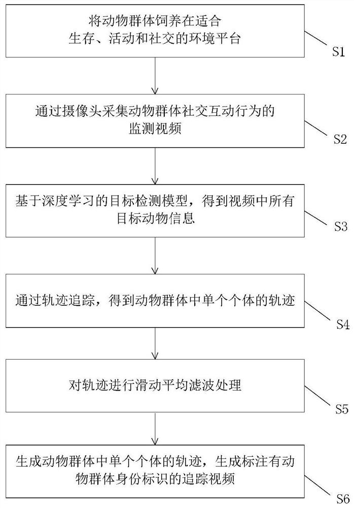 Animal group trajectory tracking method and system