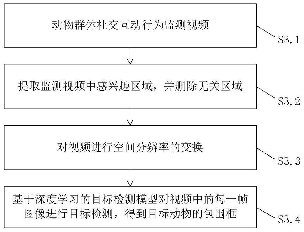 Animal group trajectory tracking method and system